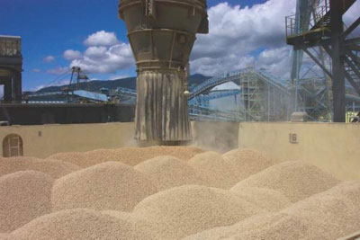 Погрузка топливных гранул на судно. Источник: Canadian biomass